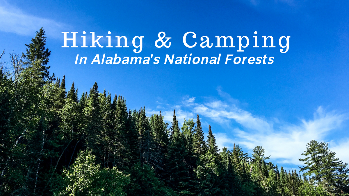 Hiking and Camping in Alabama's National Forests GOKOT