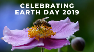 Celebrating Earth Day 2019