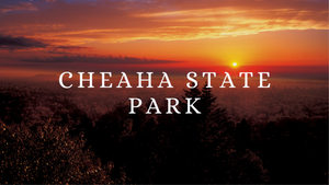 GO-KOT Camping Cot Weekend Getaway: Cheaha State Park