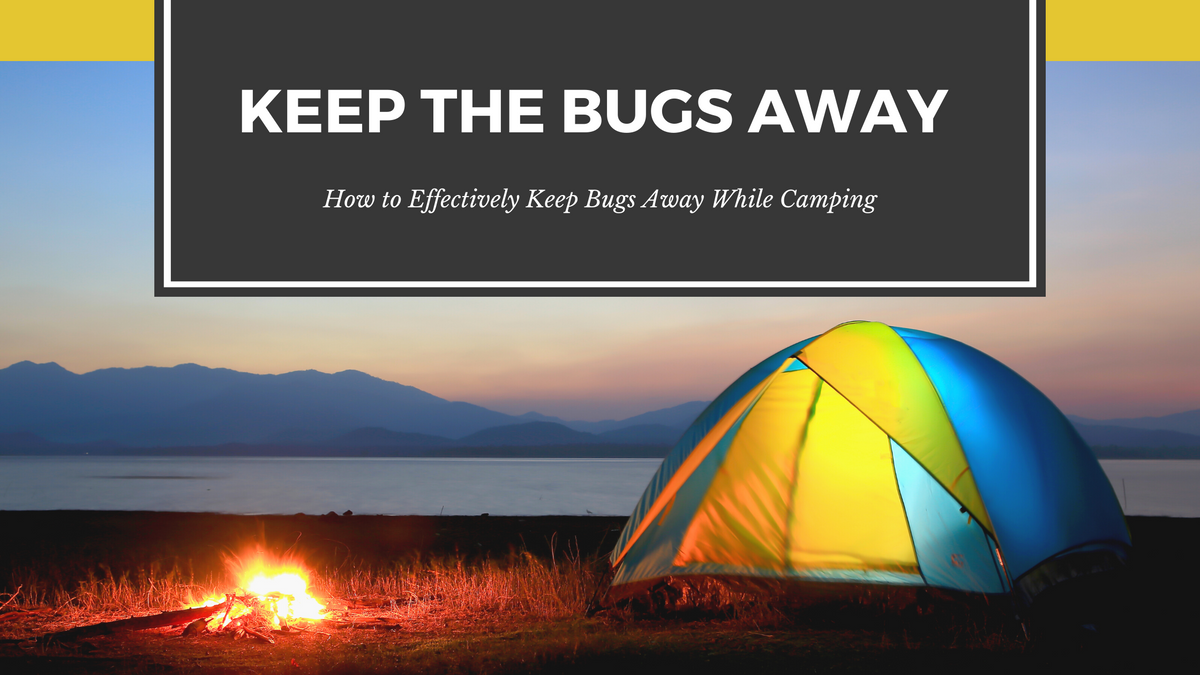 How to Effectively Keep Bugs Away While Camping – GO-KOT