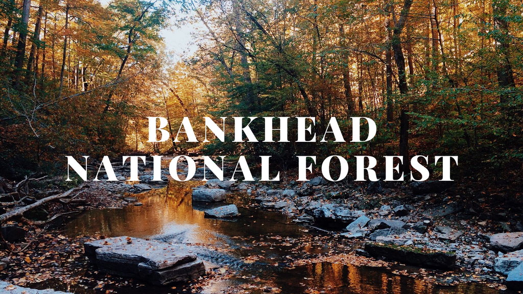 GO-KOT Camping Cot Weekend Getaway: Bankhead National Forest