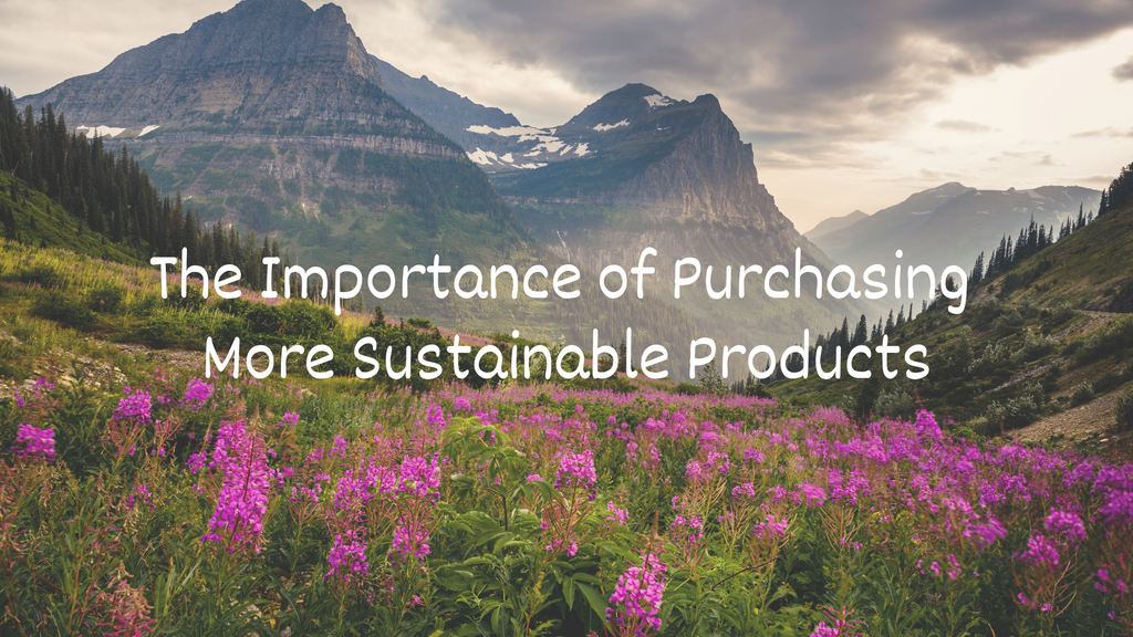 The Importance of Purchasing More Sustainable Products